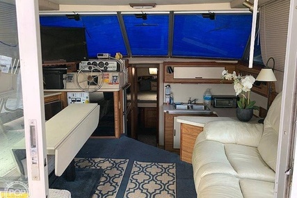 Sea Ray 390 Sedan Sportsfish