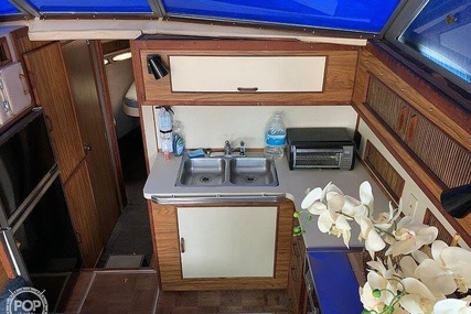 Sea Ray 390 Sedan Sportsfish