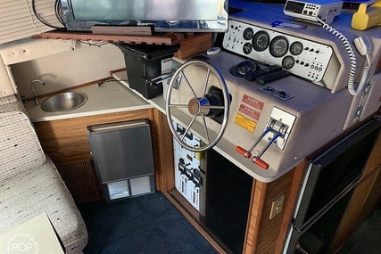 Sea Ray 390 Sedan Sportsfish