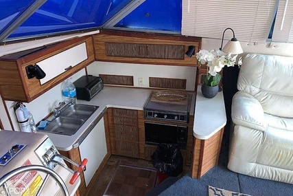 Sea Ray 390 Sedan Sportsfish