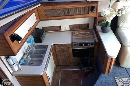 Sea Ray 390 Sedan Sportsfish