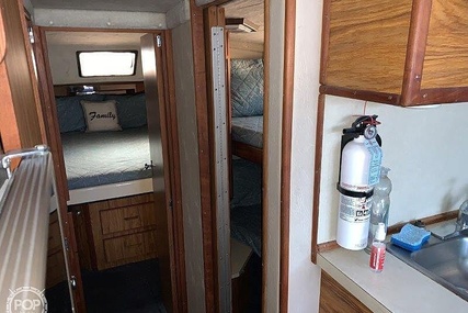 Sea Ray 390 Sedan Sportsfish