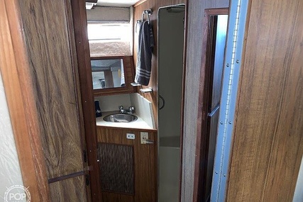 Sea Ray 390 Sedan Sportsfish