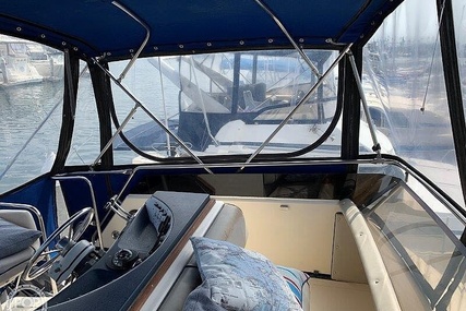 Sea Ray 390 Sedan Sportsfish