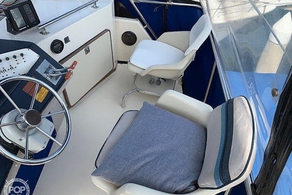 Sea Ray 390 Sedan Sportsfish