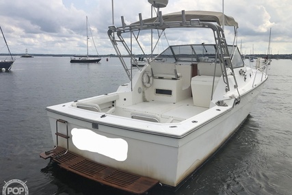 Luhrs 35 Alura