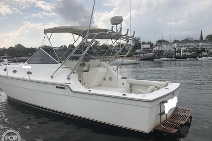 Luhrs 35 Alura