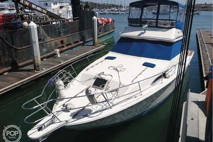 Sea Ray 390 Sedan Sportsfish