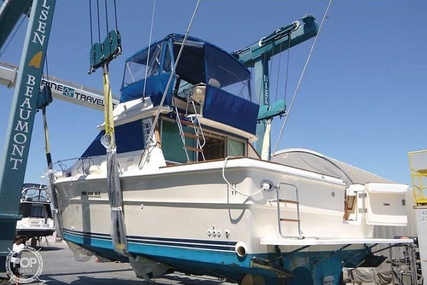 Sea Ray 390 Sedan Sportsfish