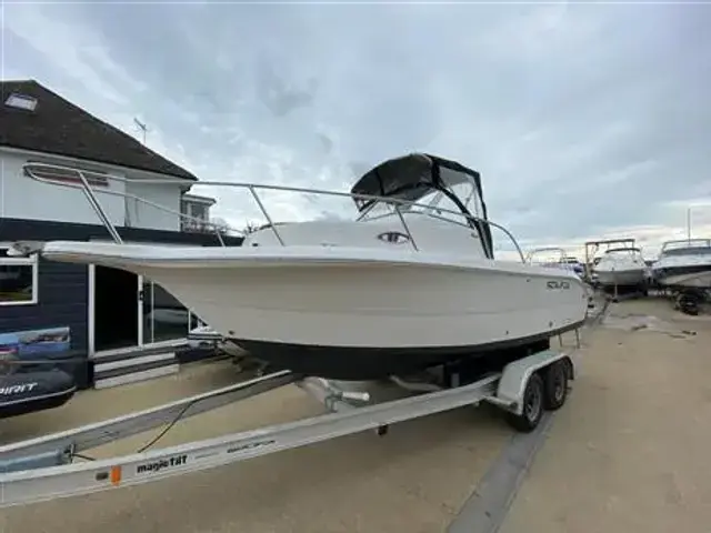 Sea Fox 210 Walk Around