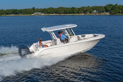 Robalo Centre console R272