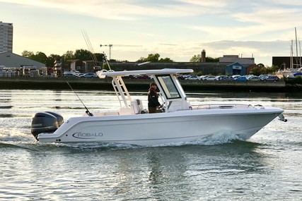 Robalo Centre console R272