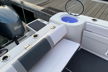 Robalo Centre console R272