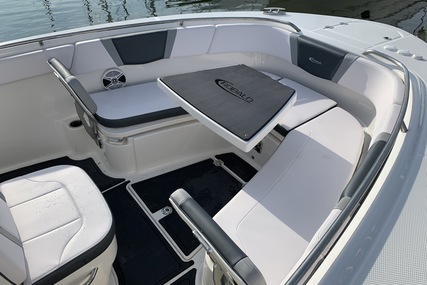 Robalo Centre console R272