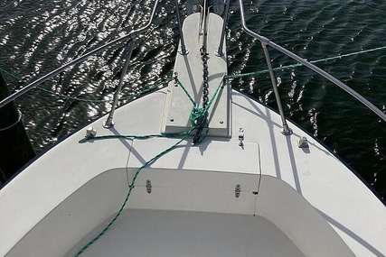 Grady White Sailfish 255