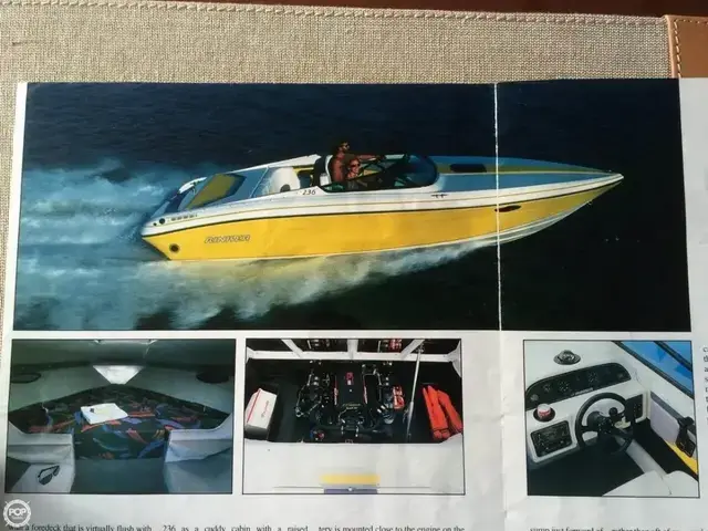 Rinker 236 Sport Cuddy