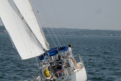 Niagara Nautilus 36