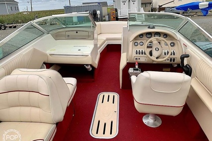 Sea Ray 240 BR