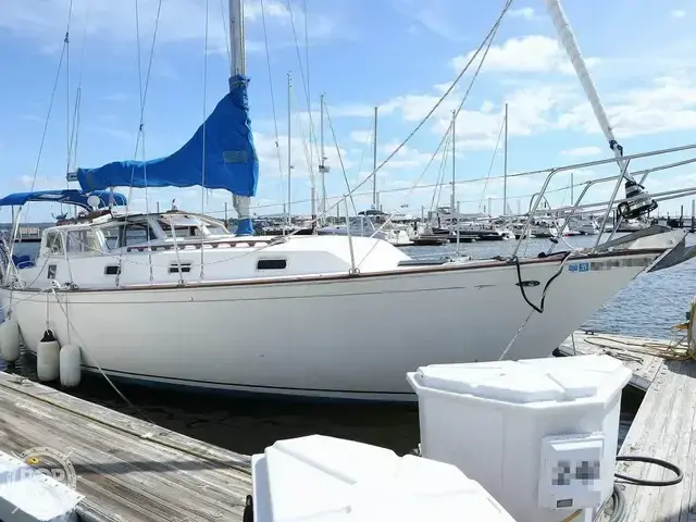 Niagara Nautilus 36