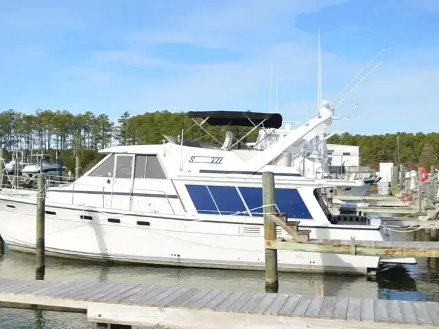 Bayliner 4588 Pilot House Motor Yacht