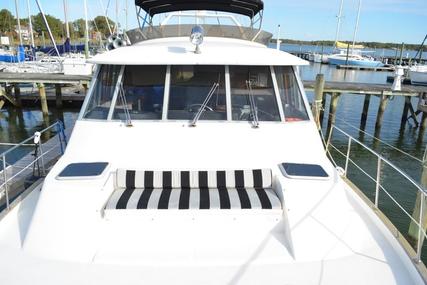 Bayliner 4588 Pilot House Motor Yacht