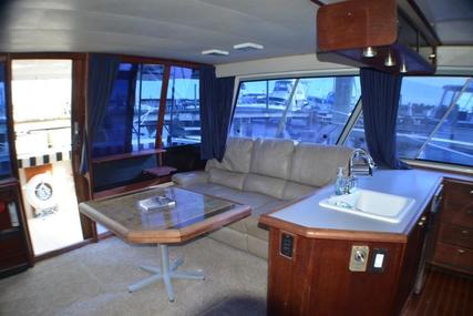 Bayliner 4588 Pilot House Motor Yacht