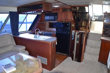 Bayliner 4588 Pilot House Motor Yacht