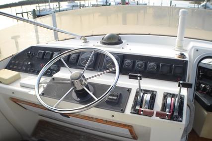 Bayliner 4588 Pilot House Motor Yacht