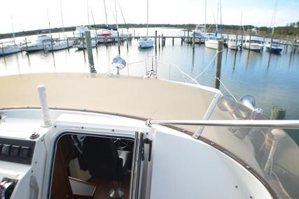 Bayliner 4588 Pilot House Motor Yacht