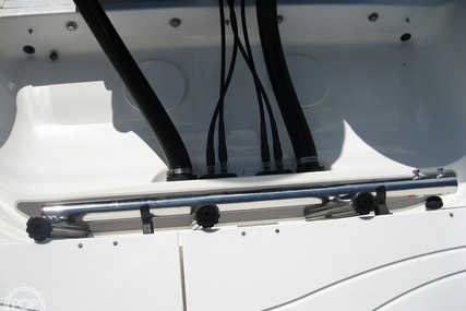 Scarab Sport 29