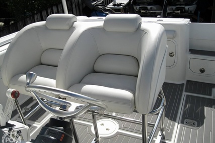 Scarab Sport 29