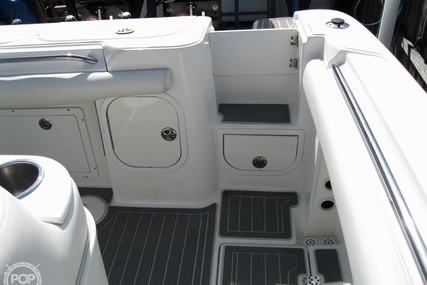 Scarab Sport 29