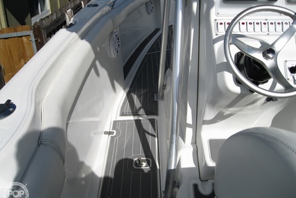 Scarab Sport 29