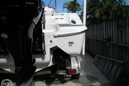 Scarab Sport 29