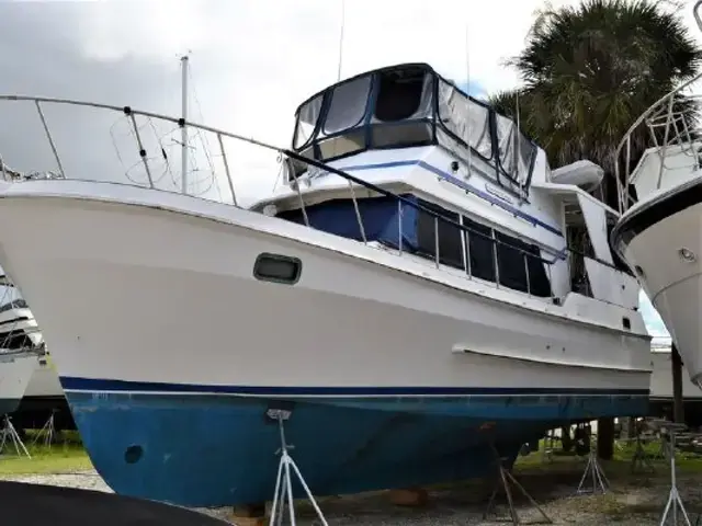 Trawler Oceania 42