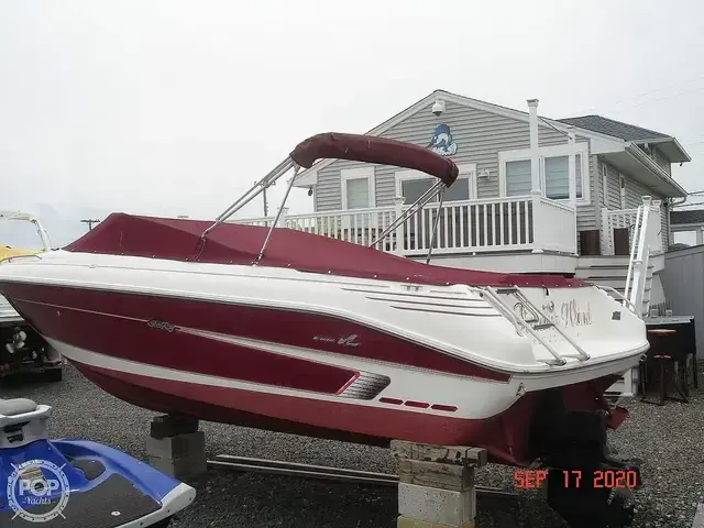 Sea Ray 240 BR