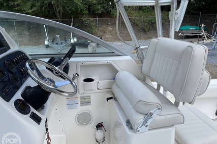 Robalo 265 WA