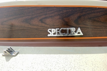 Spectra Day Cruiser