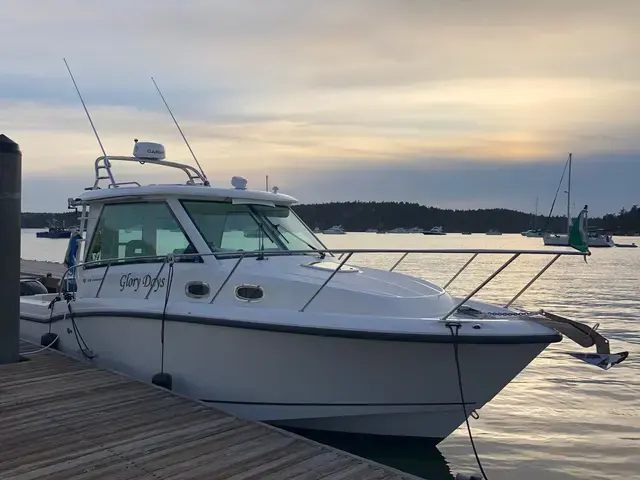 Boston Whaler 315 Conquest Pilothouse