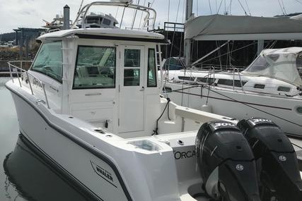 Boston Whaler 315 Conquest Pilothouse