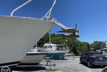 Mainship 36 Express Yacht