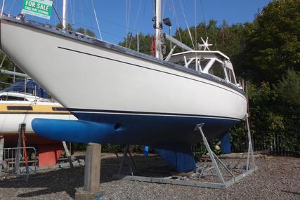 Coronet Elvstrom 38