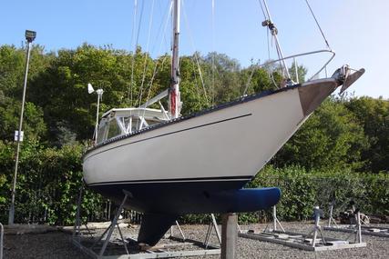 Coronet Elvstrom 38