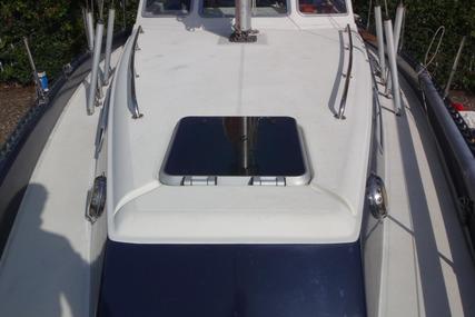 Coronet Elvstrom 38