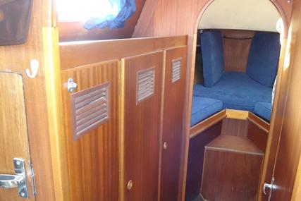 Coronet Elvstrom 38