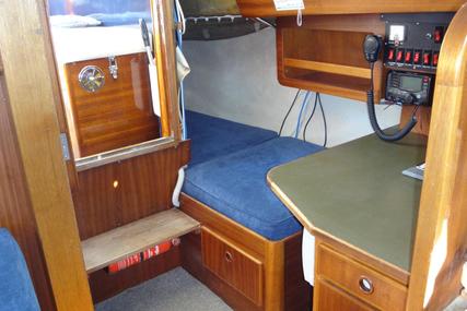 Coronet Elvstrom 38