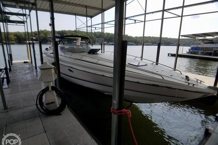 Sunseeker Thunderhawk 43