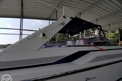 Sunseeker Thunderhawk 43