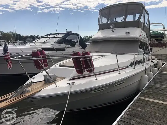 Sea Ray 340 Sedan Bridge