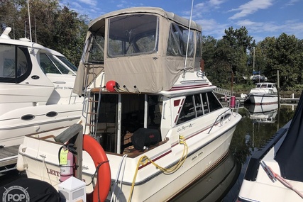 Sea Ray 340 Sedan Bridge